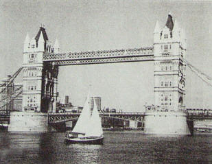 De Mollymauk bij de Tower Bridge in London.